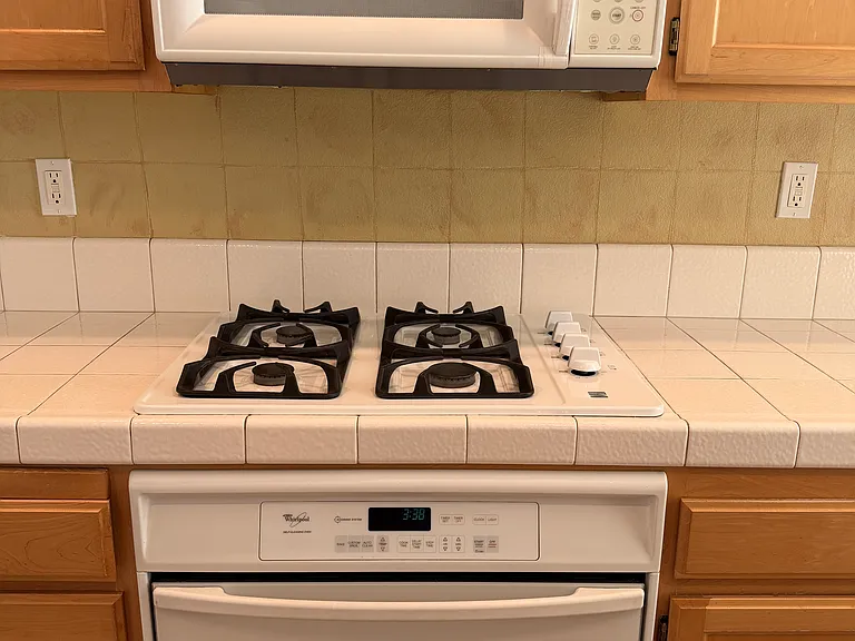 448 Emily Rose Cir — Photo 8