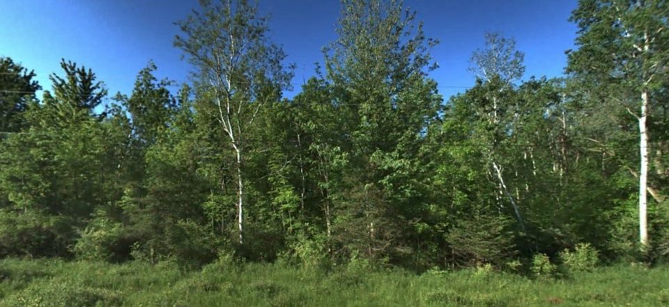 1st image of 0 Roosevelt Hwy #15