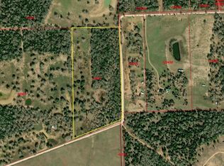 1601 Gotier Trace Rd, Paige, TX 78659