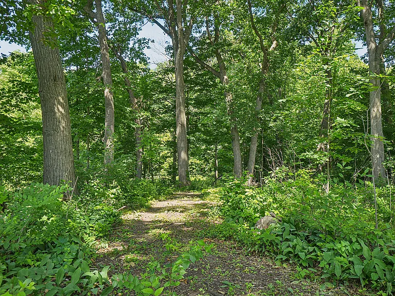 13-print-Erie Dr-2406-907