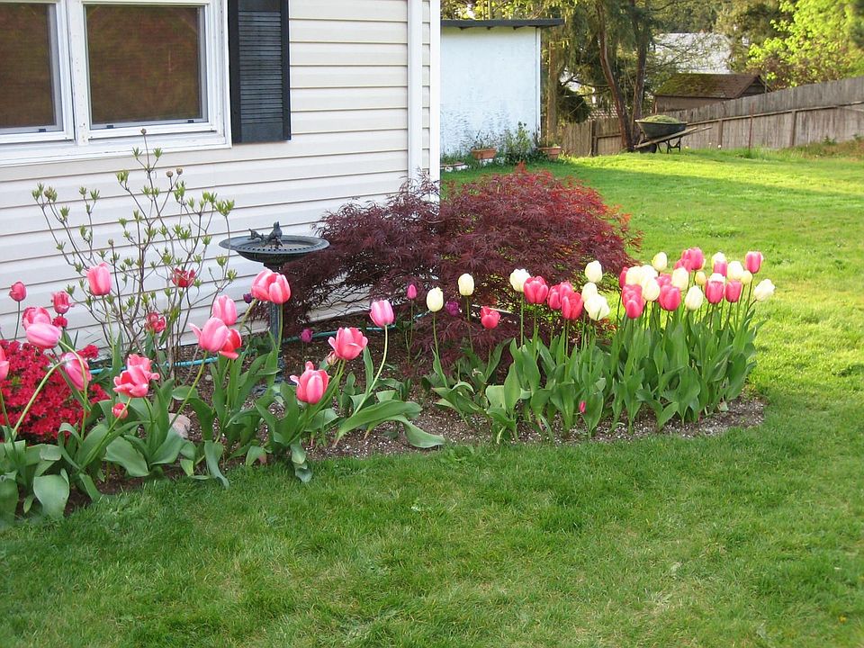 northeast corner of house