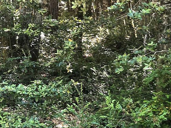4th image of 3761 Blue Lake Terrace Brooks Trl