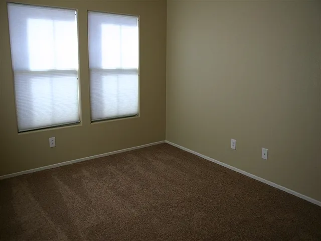 1171 Paradise Safari Dr — Photo 8