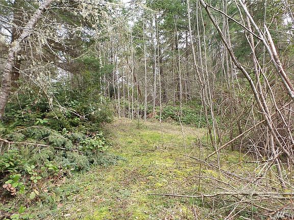 5th image of 675 Woodland Dr