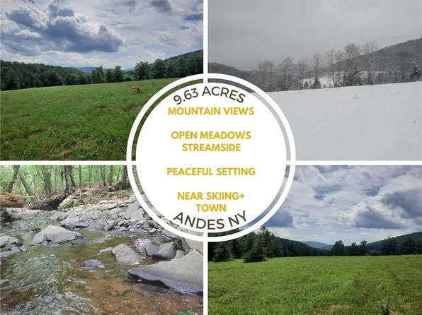 Lower Dingle Hill Rd, Andes, NY 13731
