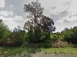 1357 S Jeter Rd, Avon Park, FL 33825