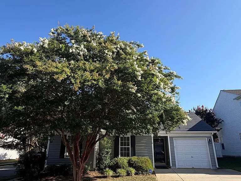 4225 Hogan Ln — Photo 1