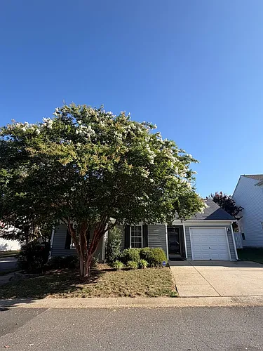 4225 Hogan Ln Photo 1