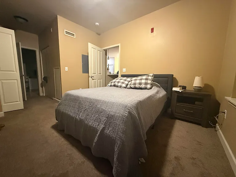 4110 S Lake Dr #336 — Photo 10