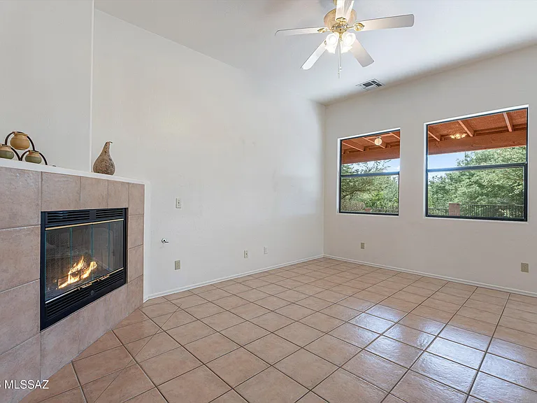 3177 W Flowering Cactus Ct — Photo 5