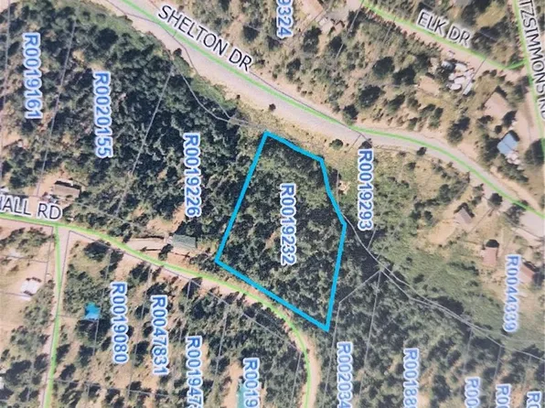 72 Hall Road, Bailey, CO 80421