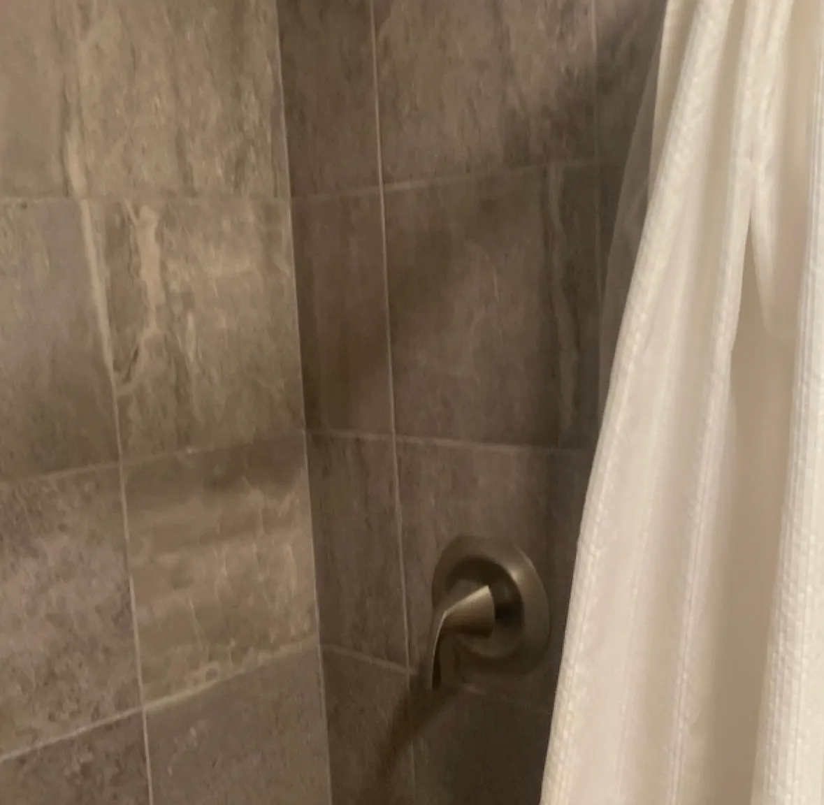 1 bed, 400 sqft, $1,100 — Photo 4