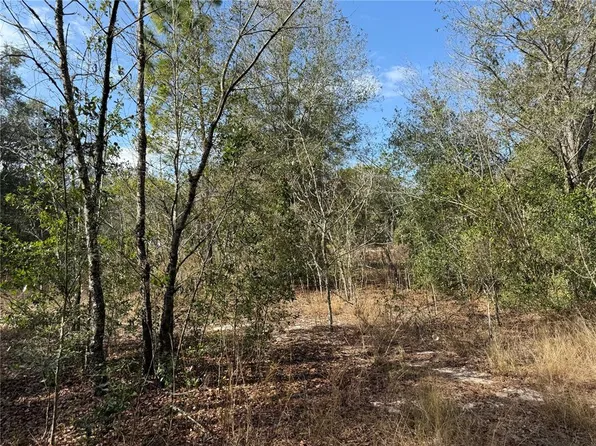 SE 92ND COURT, BELLEVIEW, FL 34420