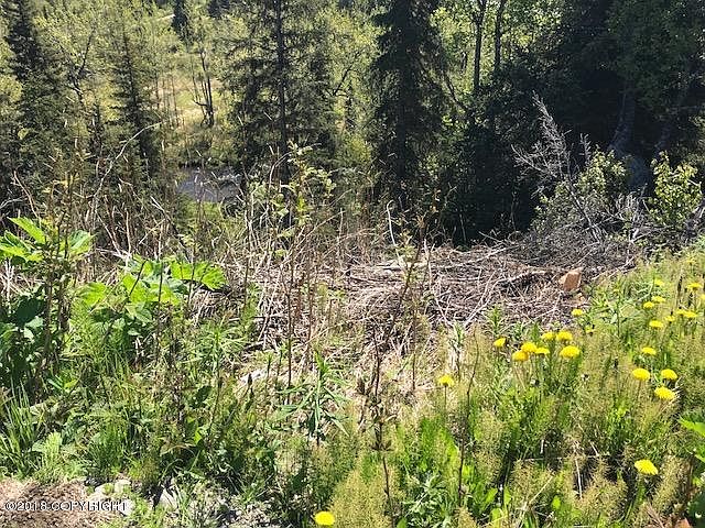 2nd image of 34300 Eason Ln