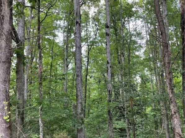 0 Camille Ter E, Northport, AL 35473