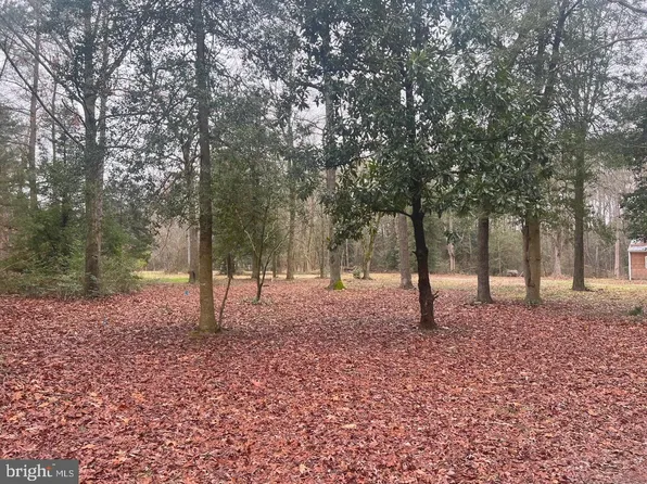 LOT 1 Phillips Hill Rd, Laurel, DE 19956