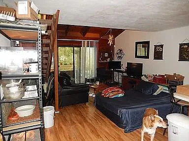 2475 Rumba Ct — Photo 6