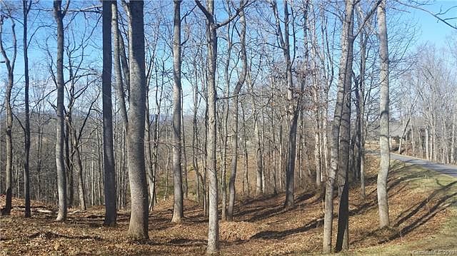 1st image of 12 Tulip Poplar Trl