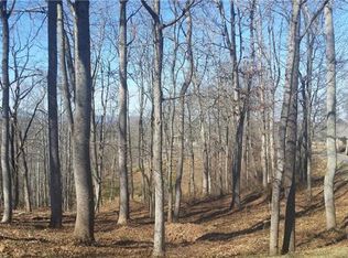 12 Tulip Poplar Trl, Asheville, NC 28804