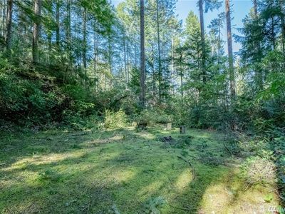 211 N Paradise Dr, Lilliwaup, WA, 98555