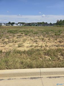 23311 Leroy Ln, Athens, AL, 35613