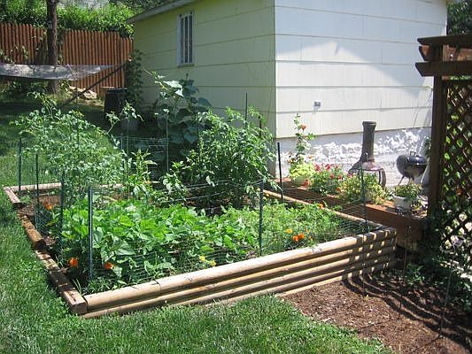 vegetable garden