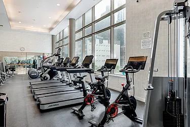 Rented by Level Group