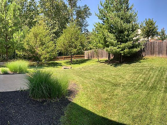Back yard
