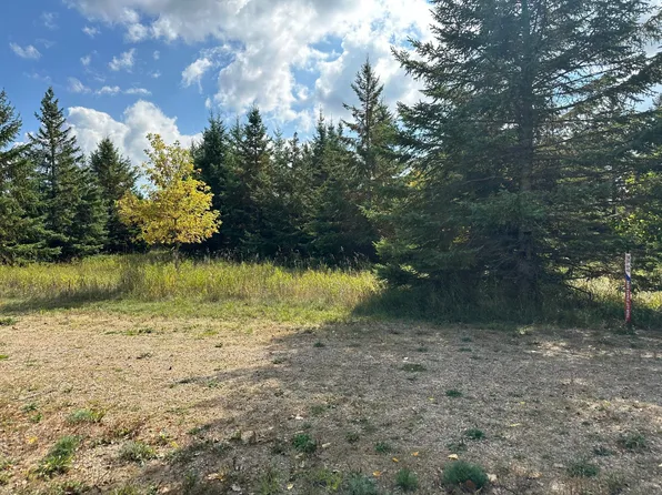 26783 Lidstrom Rd, Detroit Lakes, MN 56501