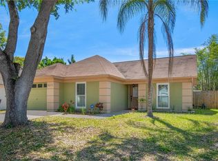 4631 Cabbage Palm Dr, Valrico, FL 33596