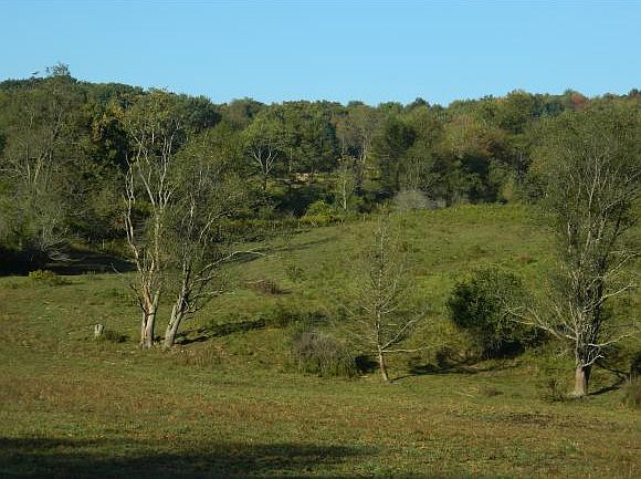 2nd image of 149 Langford Creek Rd