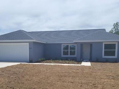 158 Malauka Run, Ocklawaha, FL, 32179