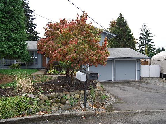 freidly neighbors