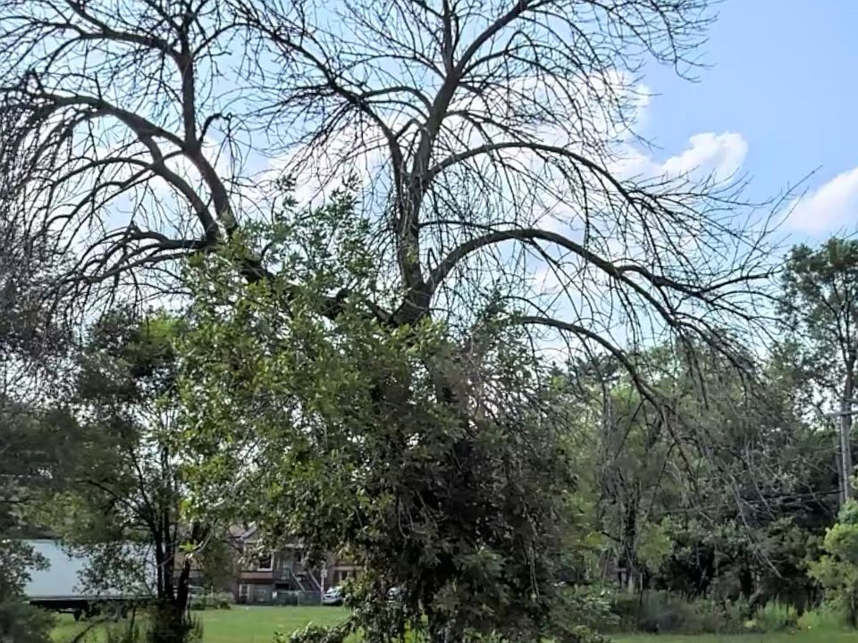 2nd image of 3900 W 16th St