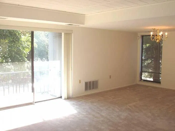 Living Room/Dinning Room