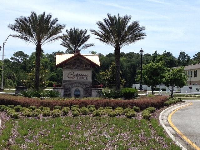 Cypress Trace