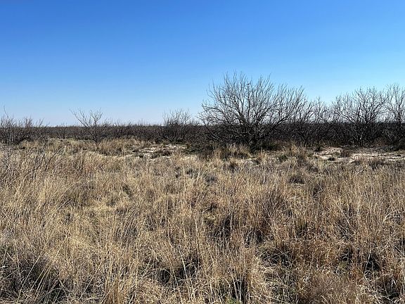 2nd image of 10001 W County Road 75
