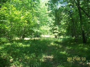 7154 E 56th St, Chase, MI 49623