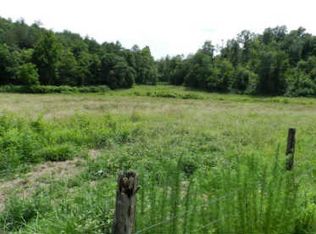 Douthit Rd, Mineral Bluff, GA 30559