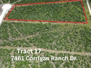 7460 Corrigan Ranch Tract Rd #17, Skidmore, TX 78389