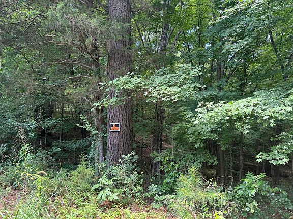 5th image of LOT 7 Woodsong Ln