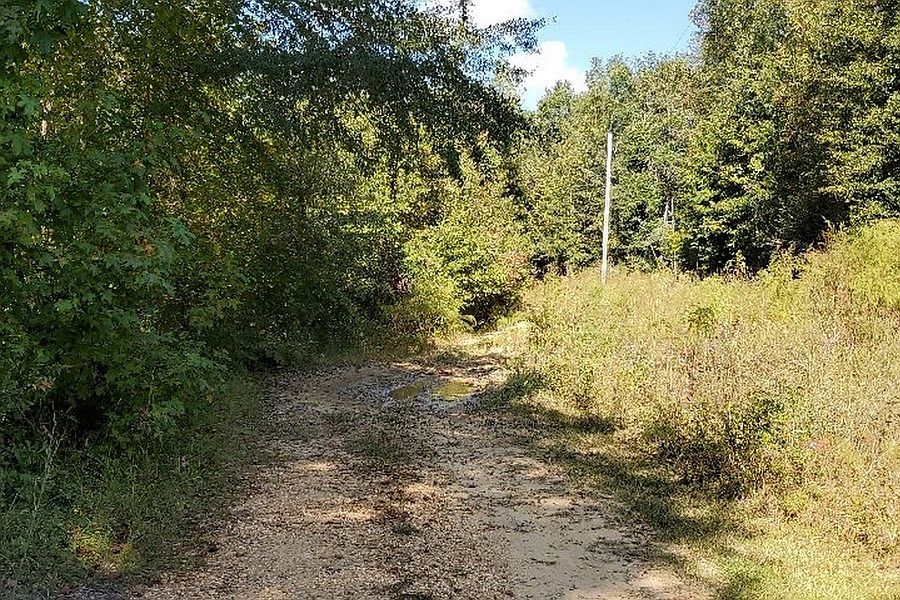 2nd image of 559 County Road 33