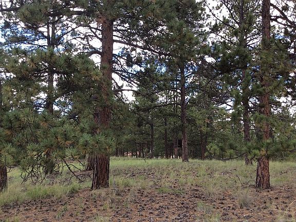 2nd image of 640 Black Mesa Cir
