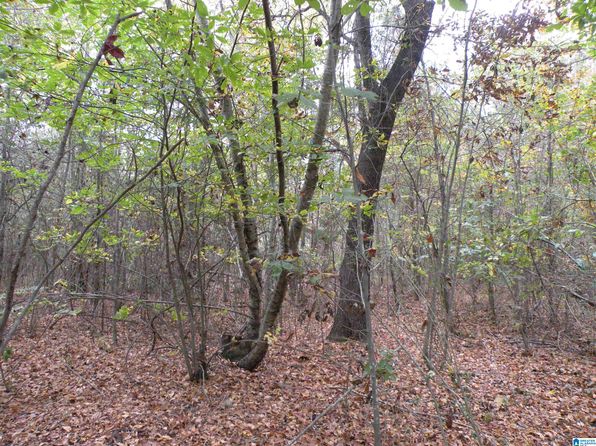 0 Fulton Gap Rd #0, Sylacauga, AL 35150