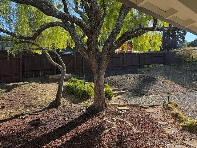 3 bed, 1.5 bath, 1138 sqft, $6,750 — Photo 3