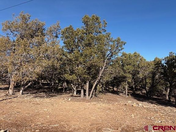 4th image of Lot 1 County Road 22B