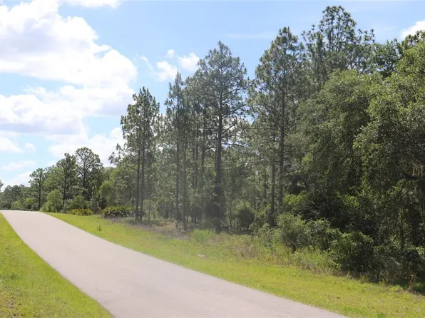 SE 114th Pl Lot 10, Dunnellon, FL 34431
