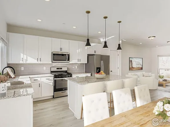 1003 Schlagel #4, Fort Collins, CO 80524