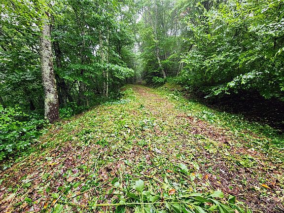 3rd image of 0 Spruce Patch Ln #1.82