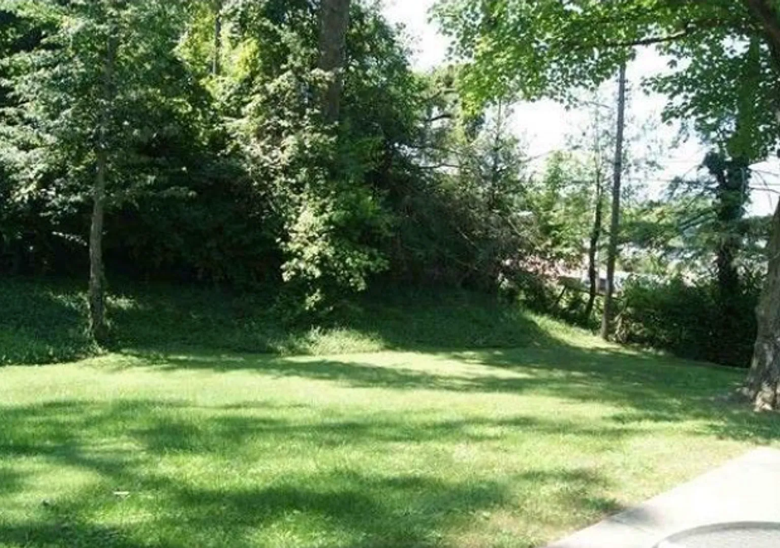 Spacious 4 bed/2 bath - walk to campus! — Photo 2